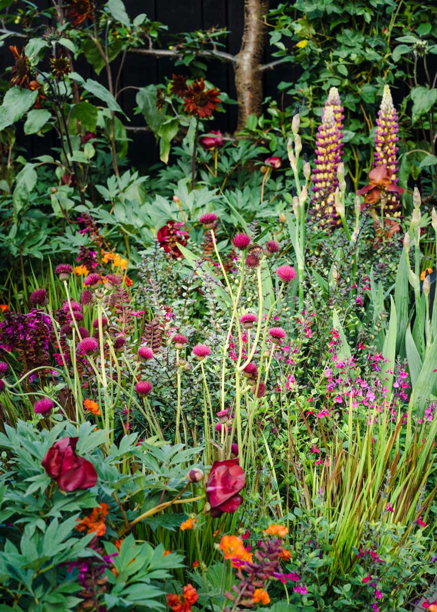 Ann-Marie-Powell-Chelsea-Flower-Show-Planting