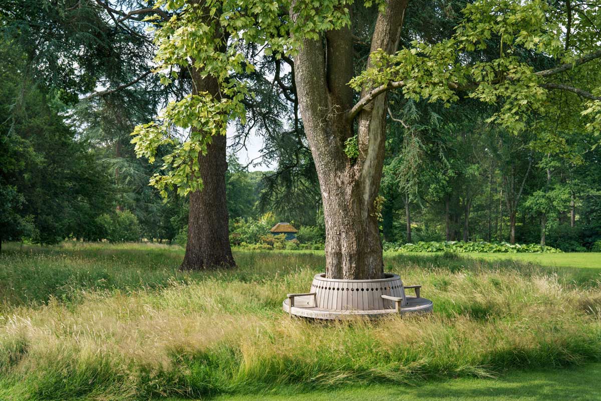 Broadwalk-Tree-Seat-with-Carving